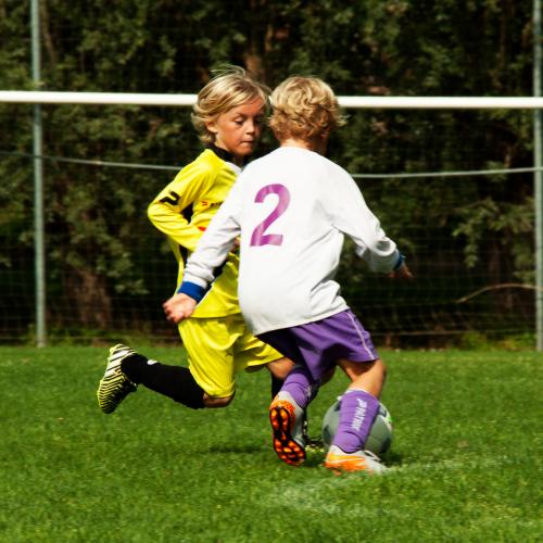 Open Talentendag